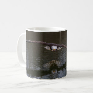 Witkopzeearend in vlucht koffiemok