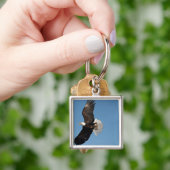 Witkopzeearend in vlucht sleutelhanger (Hand)
