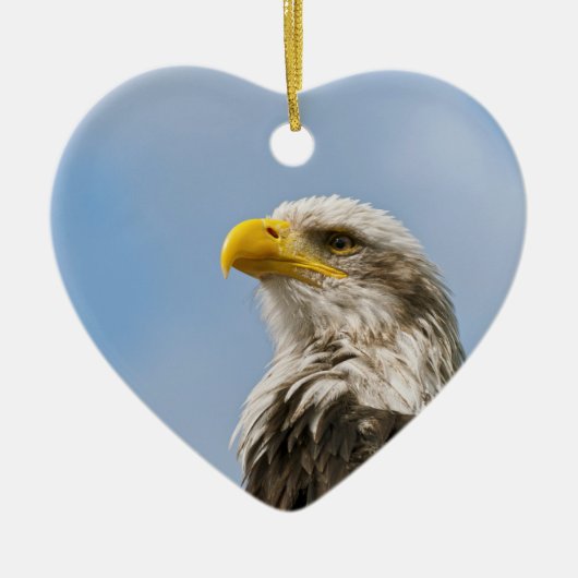 Witkopzeearend Keramisch Ornament (Voorkant)