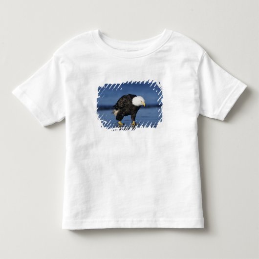 Witkopzeearend Kinder Shirts (Voorkant)