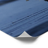 Witkopzeearend Poster (Hoek)