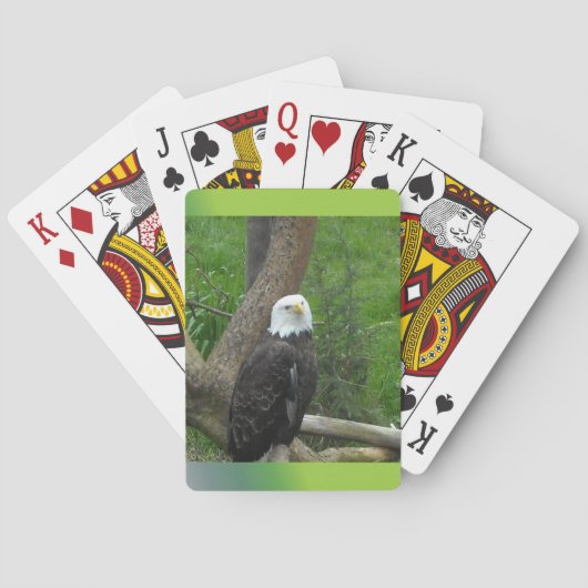 Witkopzeearend Speelkaarten (Achterkant)