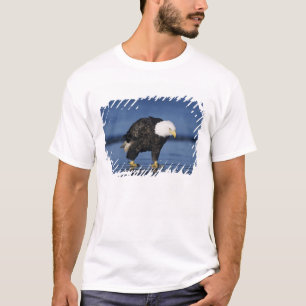 Witkopzeearend T-shirt