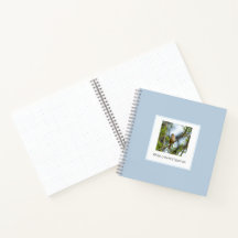 Witkruinmus – Vogelfotografie als Kunst: