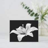 Witlende Briefkaart (Staand voorkant)