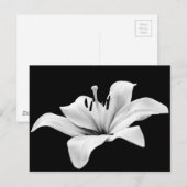 Witlende Briefkaart (Voorkant / Achterkant)