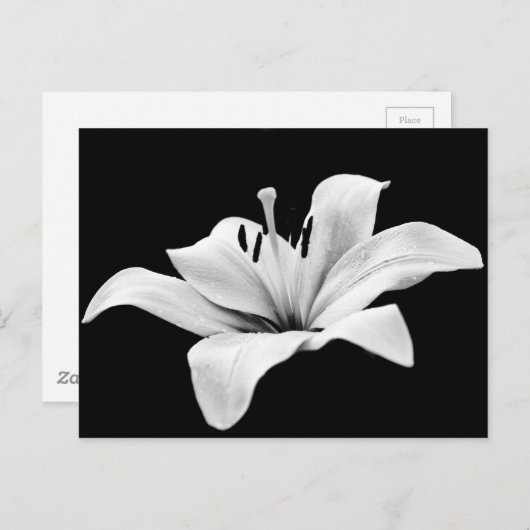 Witlende Briefkaart (Voorkant / Achterkant)