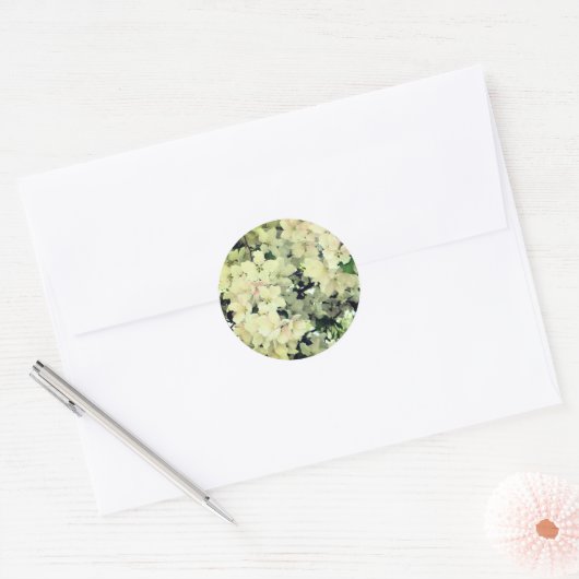 Witlentebloem Ronde Sticker (Envelop)