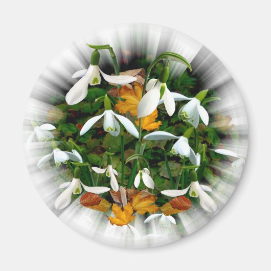  witlentesnowdruppels magneet (Voorkant)