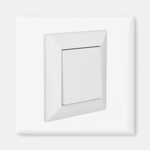 Witlichtschakelaar Magneet