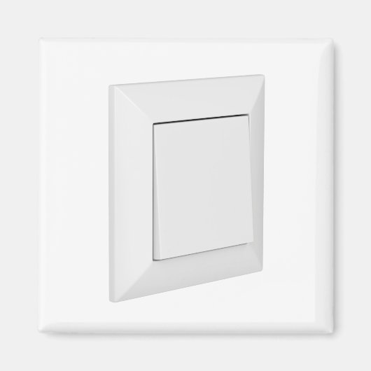 Witlichtschakelaar Magneet (Voorkant)