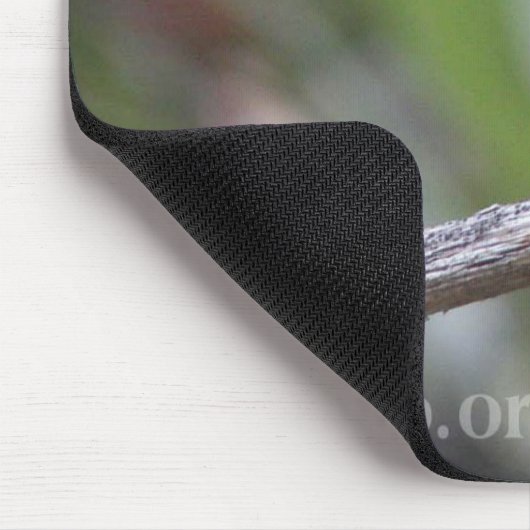 Witoorige Hummingbird Mousepad Muismat (Hoek)