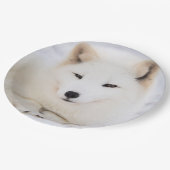 Witpoolvos in sneeuw papieren bordje (Gekanteld)