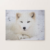 Witpoolvos Legpuzzel (Horizontaal)