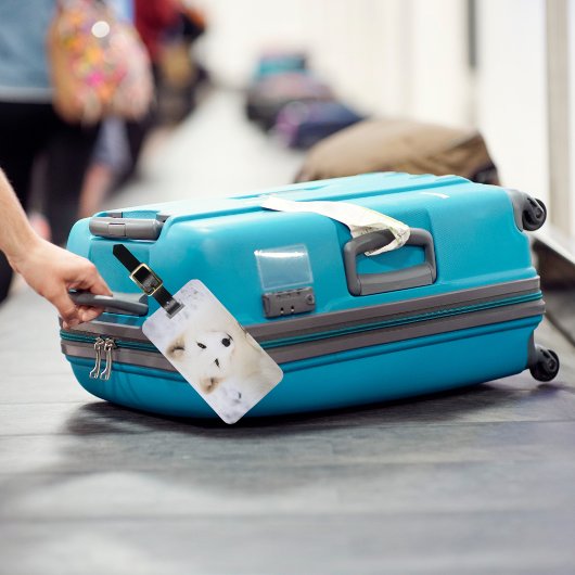 Witpoolvos sneeuw schattig dier gepersonaliseerd bagagelabel