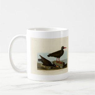 Witpotige oester-catcher, Audubon Birds America Koffiemok
