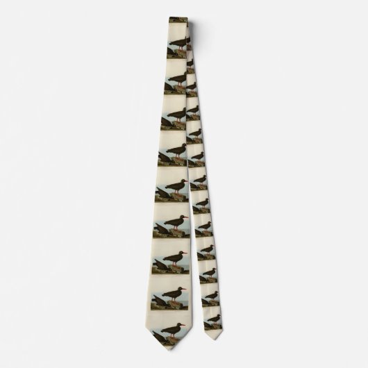 Witpotige oester-catcher, Audubon Birds America Stropdas (Voorkant)