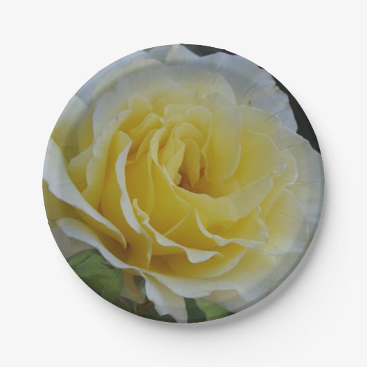 Witrozenpapier borden papieren bordje (Voorkant)