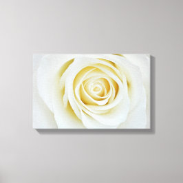 Witrozonnebloem Canvas druk