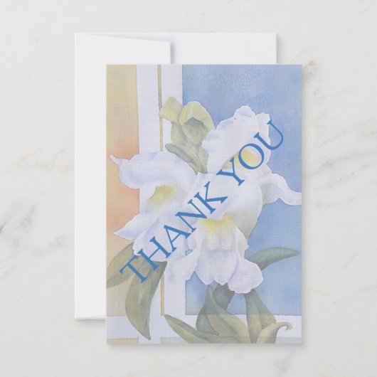 WITSERS  RSVP-KAARTEN RSVP KAARTJE (Achterkant)