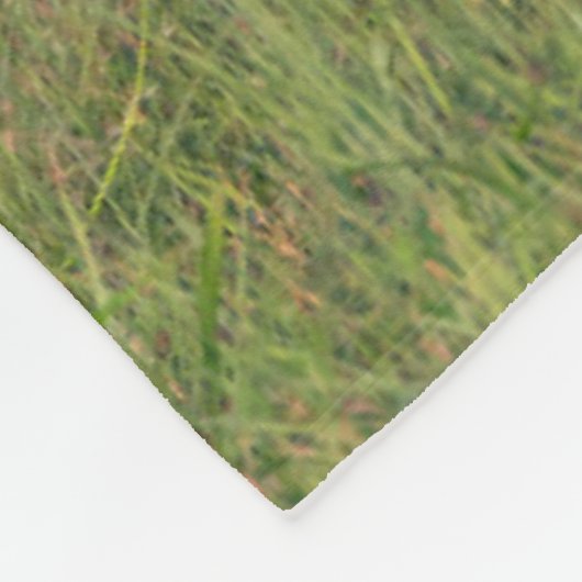 Witstaarster | Grassy Habitat Fleece Deken (Hoek)