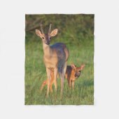 Witstaarster | Grassy Habitat Fleece Deken (Voorkant)