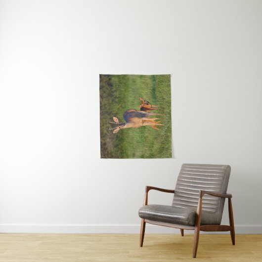 Witstaarster | Grassy Habitat Wandkleed (In situ)