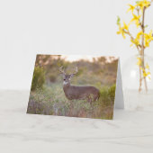 Witstaarster | Herfst in Texas Kaart (Gele Bloem)