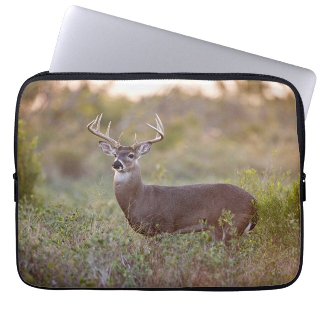 Witstaarster | Herfst in Texas Laptop Sleeve (Voorkant)
