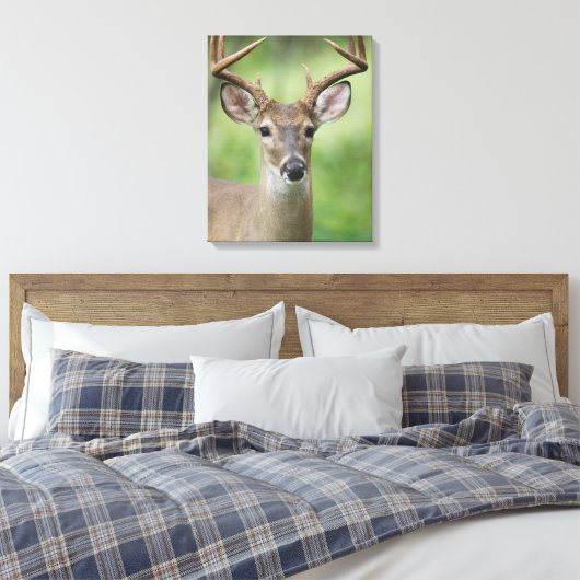 Witstaarster | Hill Country, Texas Canvas Afdruk (Insitu (Slaapkamer))