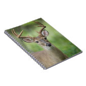 Witstaarster | Hill Country, Texas Notitieboek (Rechterzijde)