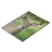 Witstaarster | Hill Country, Texas Notitieboek (Linkerzijde)