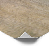 Witstaarster | Hill Country, Texas Poster (Hoek)