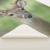 Witstaarster | Hill Country, Texas Sherpa Deken (3/4)