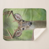 Witstaarster | Hill Country, Texas Sherpa Deken (Voorkant (horizontaal))