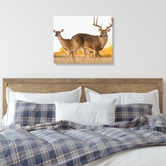 Witstaarster | Najaar in Texas Canvas Afdruk (Insitu (Slaapkamer))