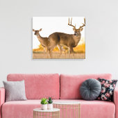 Witstaarster | Najaar in Texas Canvas Afdruk (Insitu (Woonkamer))