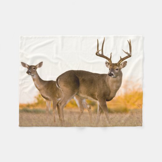 Witstaarster | Najaar in Texas Fleece Deken (Voorkant (Horizontaal))