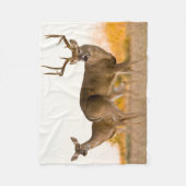 Witstaarster | Najaar in Texas Fleece Deken (Voorkant)