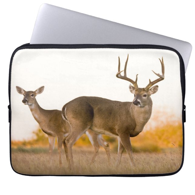 Witstaarster | Najaar in Texas Laptop Sleeve (Voorkant)