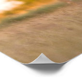 Witstaarster | Najaar in Texas Poster (Hoek)