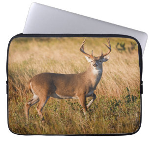 Witstaarster Najaar in TX Laptop Sleeve