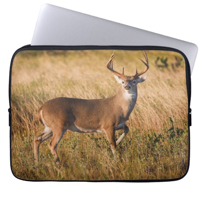 Witstaarster | Najaar in TX Laptop Sleeve (Voorkant)
