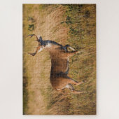 Witstaarster | Najaar in TX Legpuzzel (Verticaal)