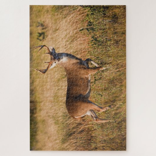 Witstaarster | Najaar in TX Legpuzzel (Verticaal)