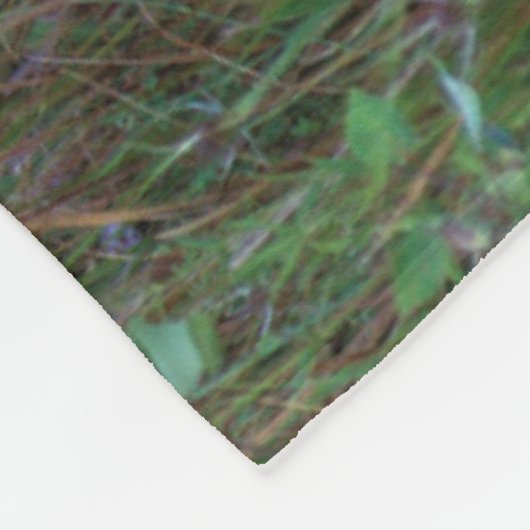 Witstaarster | Nationale Bison Range Montana Fleece Deken (Hoek)