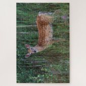 Witstaarster | Nationale Bison Range Montana Legpuzzel (Verticaal)