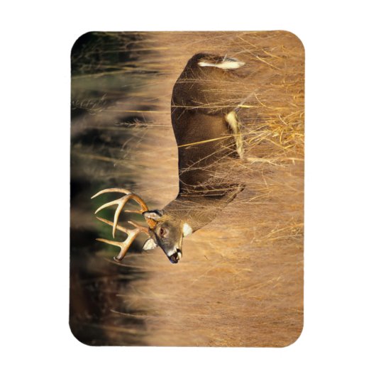 Witstaarster | Smoky Mountains Tennessee Magneet (Verticaal)