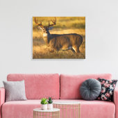 Witstaarster | South Texas Canvas Afdruk (Insitu (Woonkamer))