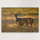 Witstaarster | South Texas Legpuzzel (Horizontaal)